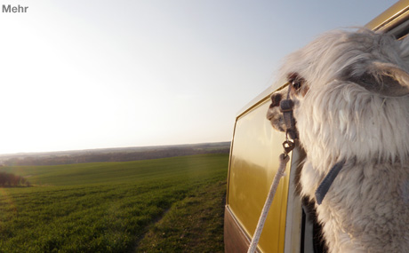 Unser Therapiekonzept